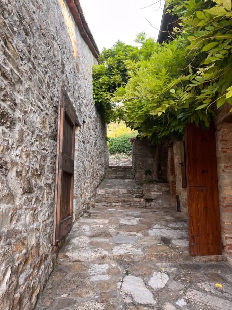 Steinerner Weg zwischen alten Gebäuden, umgeben von Pflanzen und rustikalen Türen.