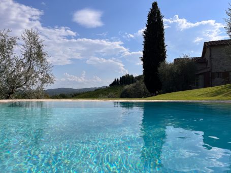 Blick auf einen glitzernden Pool mit grüner Landschaft und blauem Himmel im Hintergrund.