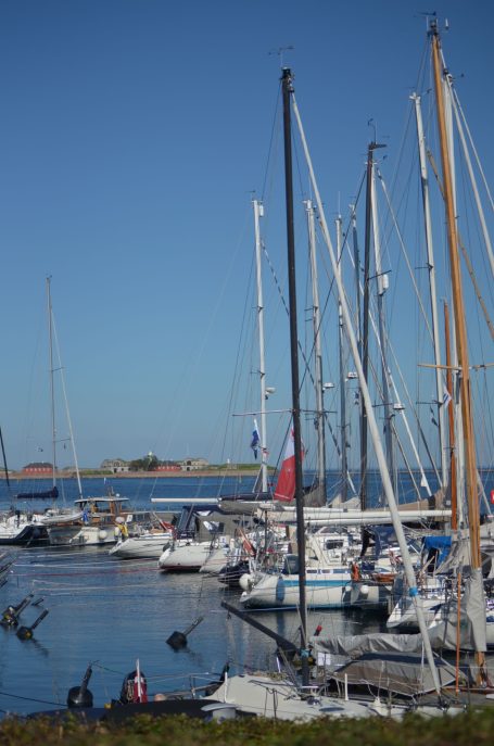 Hafen mit Yachten und Segelbooten unter klarem Himmel und ruhigem Wasser.