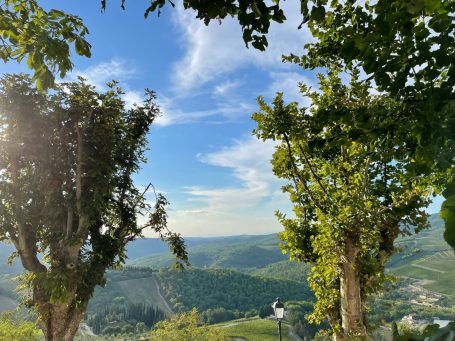 Blick auf eine Landschaft mit Bäumen und einem blauen Himmel mit einigen Wolken.