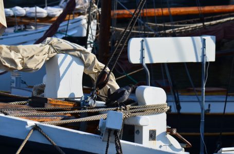 Detailansicht eines Bootes mit Motor und Segelrigg, an einem Hafen vertäut.