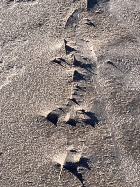 Naturboden mit sanften Erhebungen und Schatten, die eine unregelmäßige Struktur bilden.