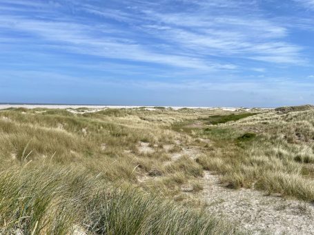 Sanddünen unter blauem Himmel mit Gras und Strand im Hintergrund.