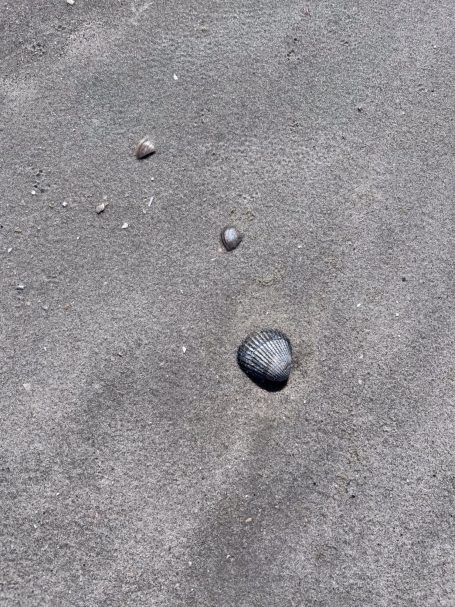 Drei unterschiedliche Steine auf einem sandigen Untergrund.