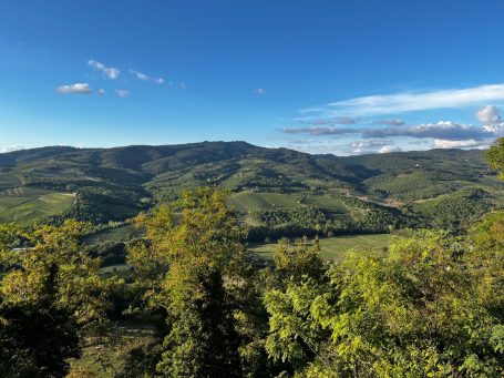 Blick auf sanfte Hügel und grüne Landschaft unter blauem Himmel.