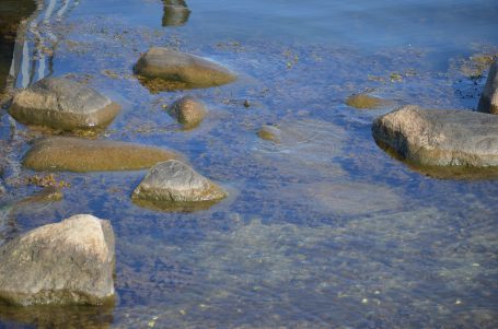 Felsen im Wasser mit klarem Blau und grünlichen Algen im Vordergrund.